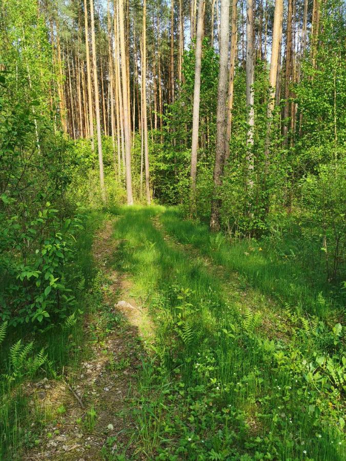 Namelis Su Pirtele Villa Druskininkai Buitenkant foto