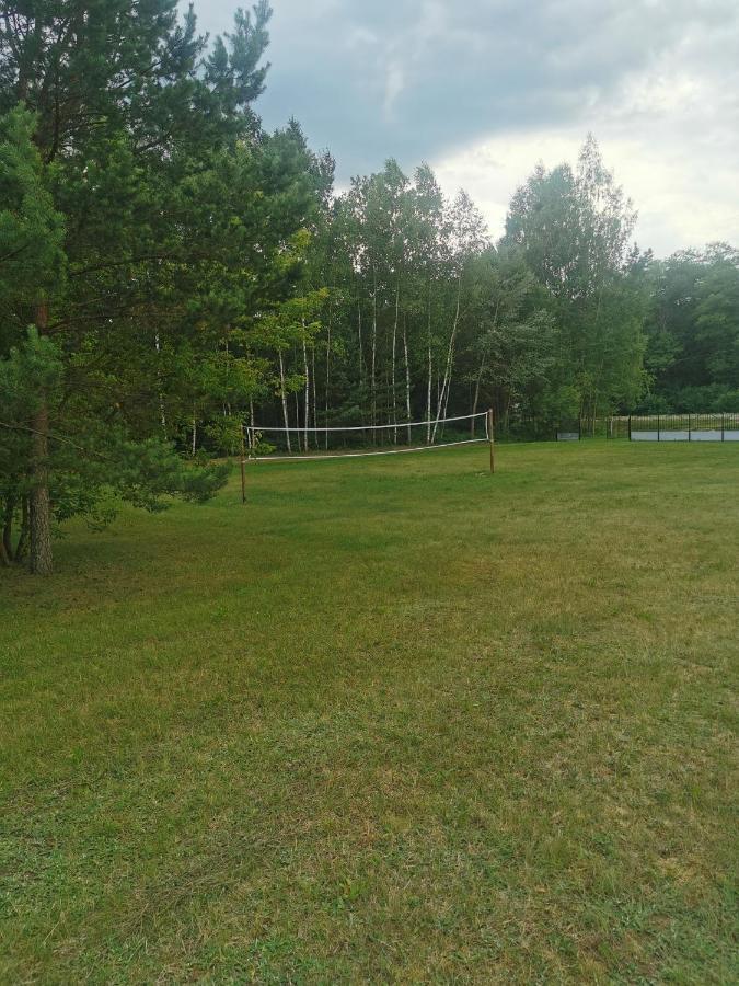 Namelis Su Pirtele Villa Druskininkai Buitenkant foto