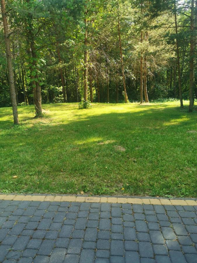 Namelis Su Pirtele Villa Druskininkai Buitenkant foto