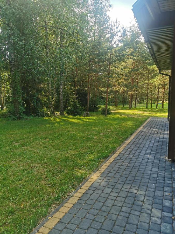 Namelis Su Pirtele Villa Druskininkai Buitenkant foto