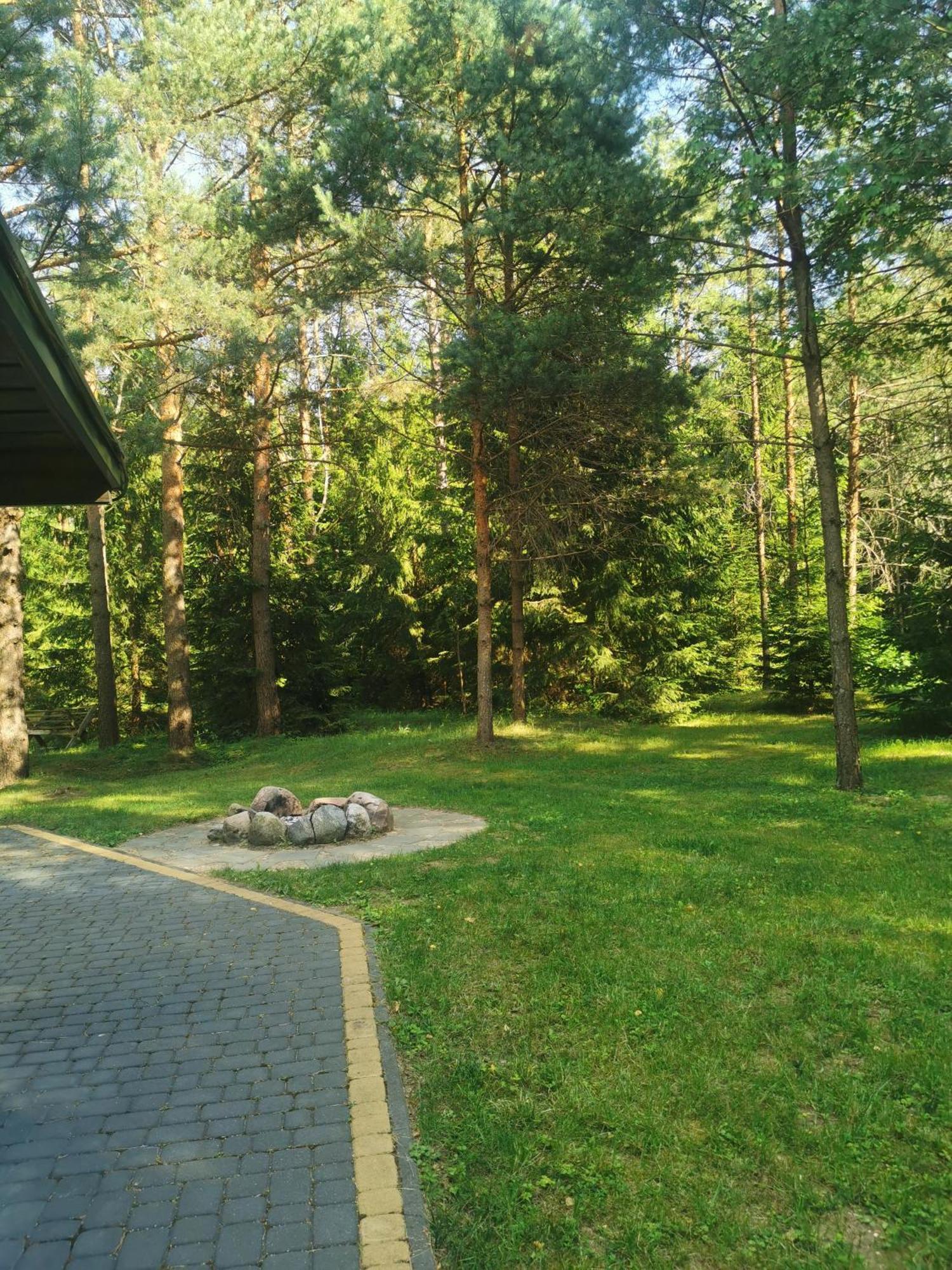 Namelis Su Pirtele Villa Druskininkai Buitenkant foto