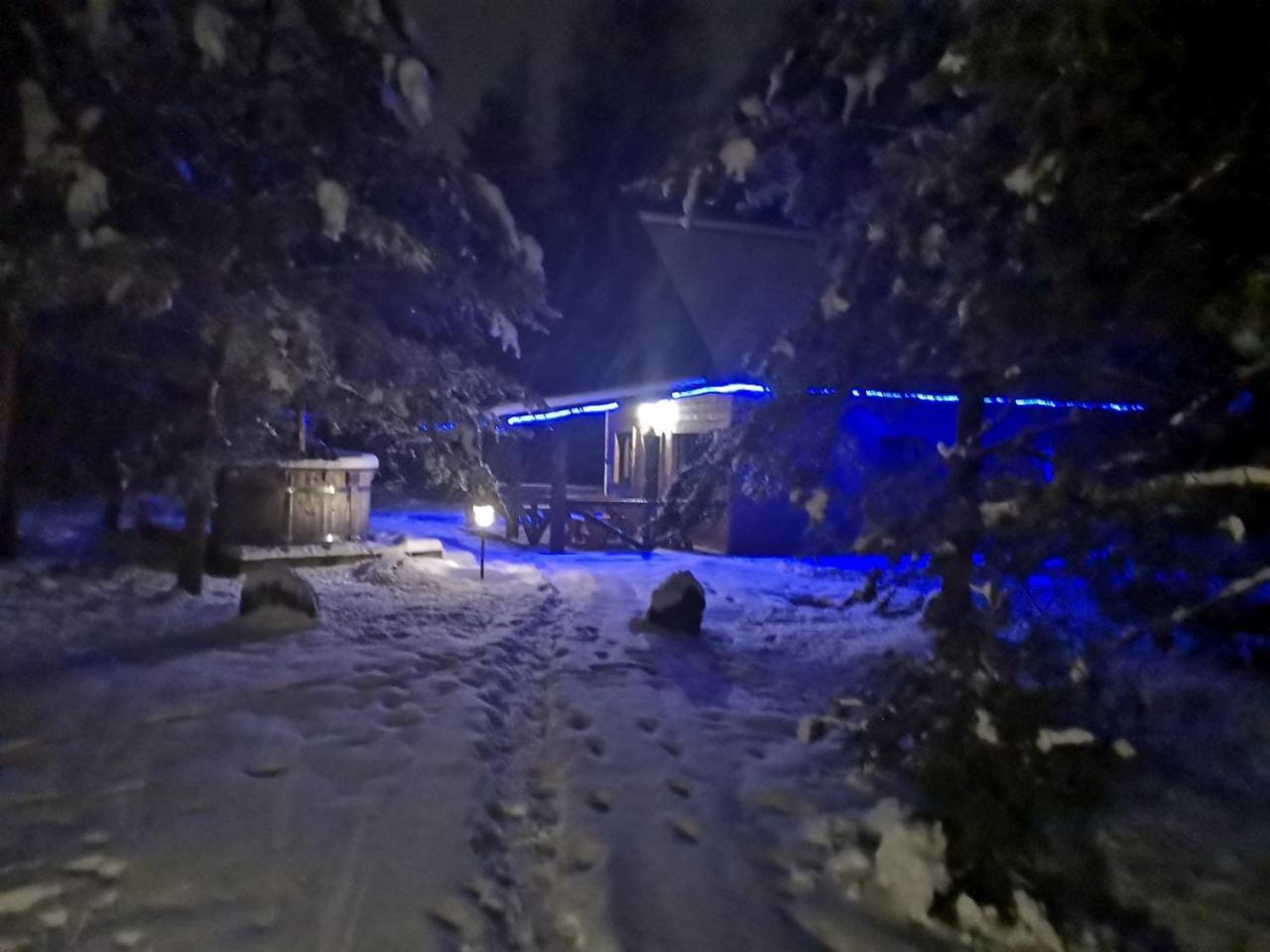 Namelis Su Pirtele Villa Druskininkai Buitenkant foto