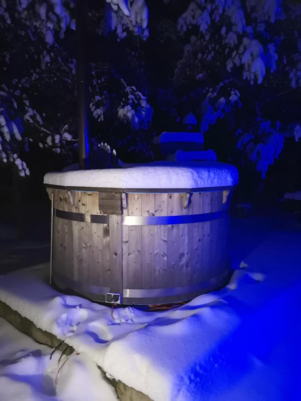 Namelis Su Pirtele Villa Druskininkai Buitenkant foto