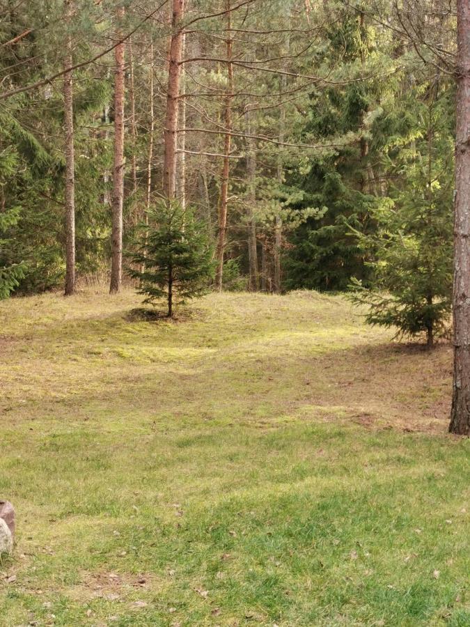 Namelis Su Pirtele Villa Druskininkai Buitenkant foto