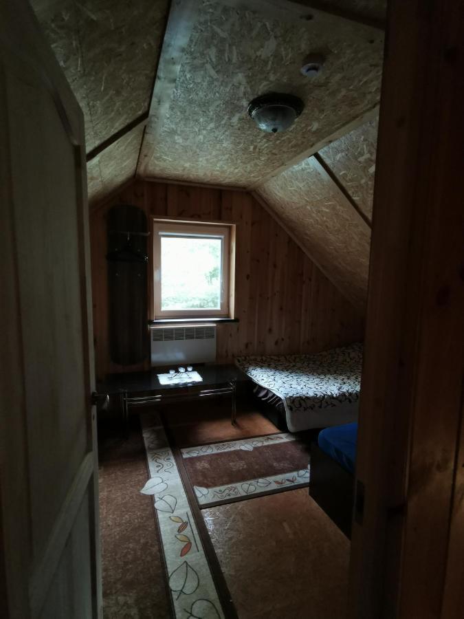 Namelis Su Pirtele Villa Druskininkai Buitenkant foto